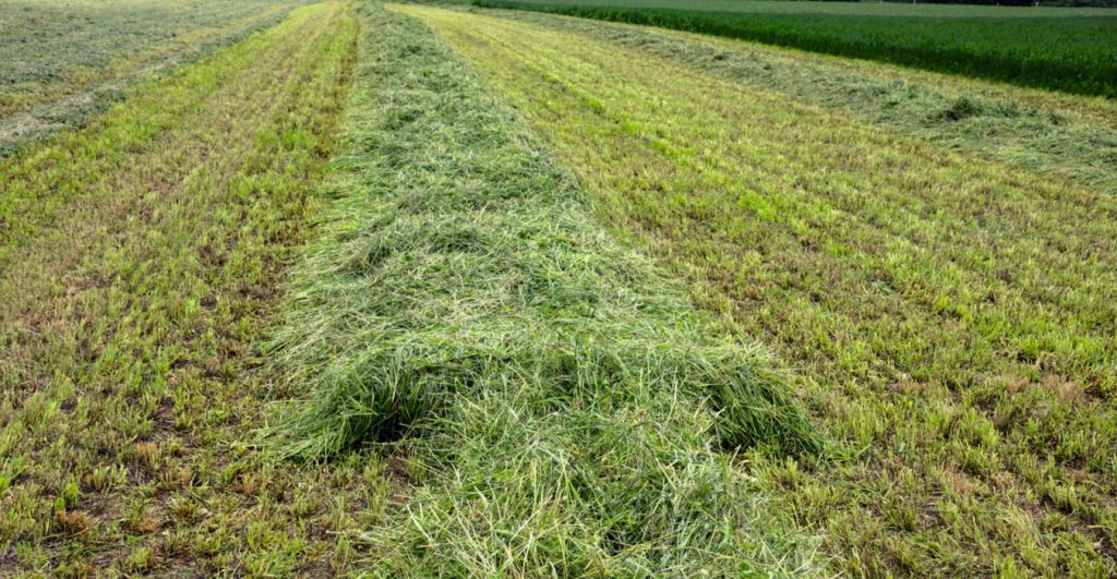 CLAAS Harvest Centre Waipara