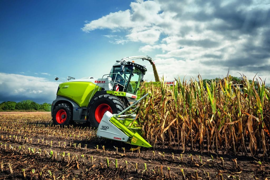 jaguar harvesting maize, focus on the jag front