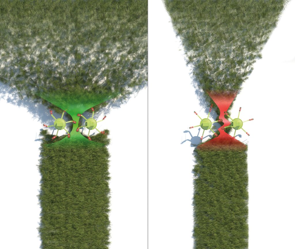 wider and distributed crops with the CLAAS VOLTO TEDDERS