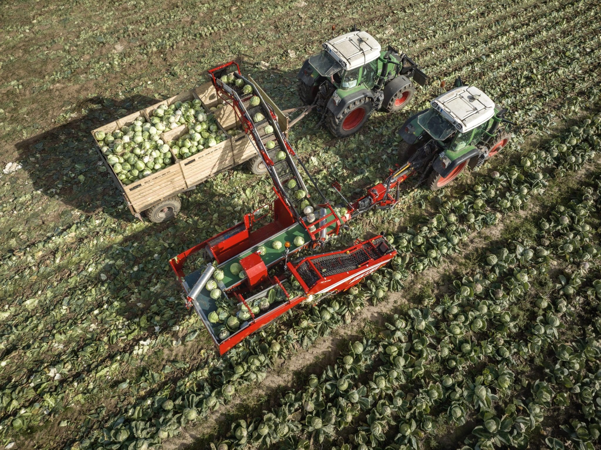 Vegetable Machinery