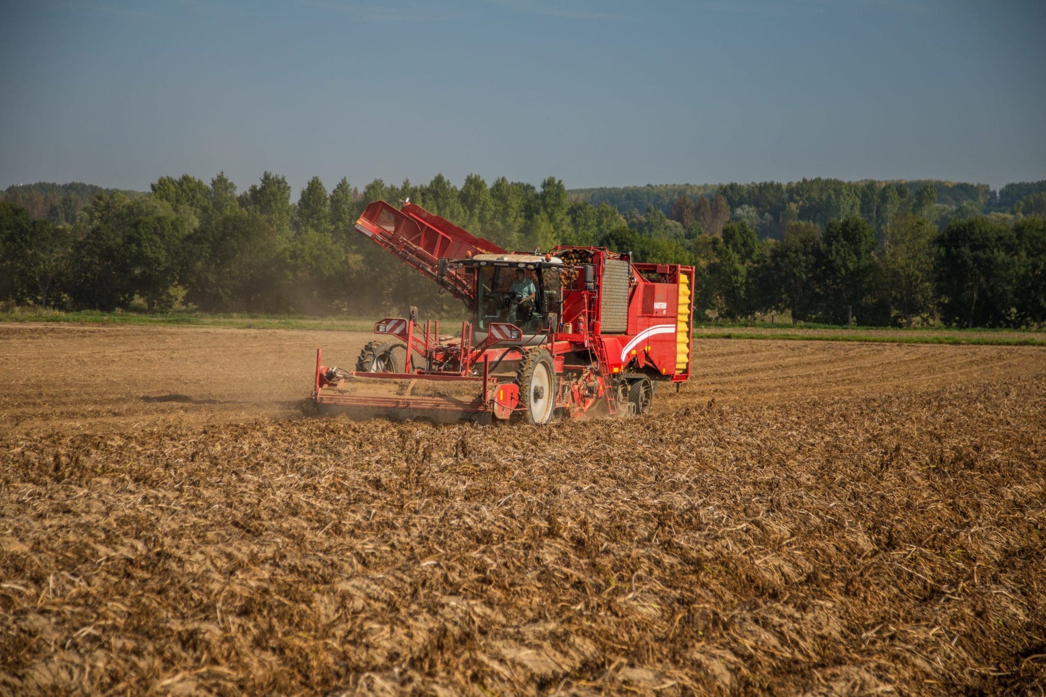 GRIMME